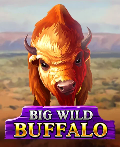 Play Big Wild Buffalo at Island Reels Casino